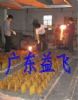 Casting Induction Furnace